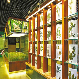 银川展厅-绿色展厅企业-汉风展览(推荐商家)