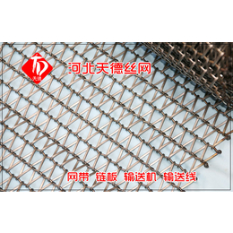 金属输送带-天德输送网带-平顶链金属输送带