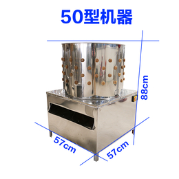 家禽脱毛机的价格 家禽去毛脱羽机厂家