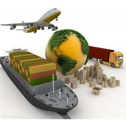 集装箱海运报价|合利航国际物流(在线咨询)|佛山到比利时海运
