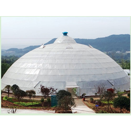 球形温室建设,鑫和温室园艺(在线咨询),乐陵球形温室