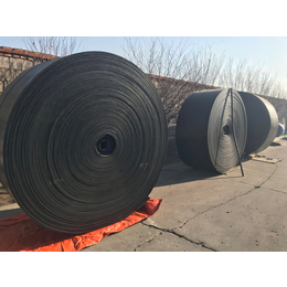 化肥石灰运输带 EP300聚酯布芯输送带 耐酸碱防腐蚀输送带