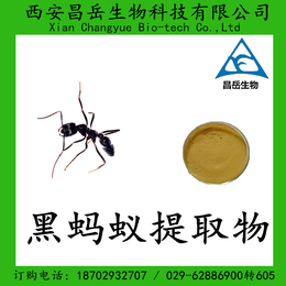 黑蚂蚁提取物 黑蚂蚁速溶粉 包邮缩略图