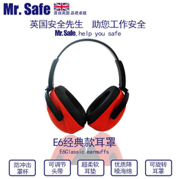 Mr. Safe 安全先生 E6 经济款防*