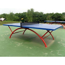 乒乓球桌专卖店-乒乓球桌-奥祥体育生产厂家(查看)