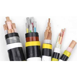 三阳线缆(图)、交联聚乙烯绝缘电力电缆价格、上海电力电缆