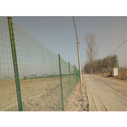 小鸡养殖防护网-莱芜养殖防护网-绿色卷网