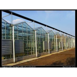 玻璃温室承建,陕西玻璃温室,青州鑫和温室园艺(查看)