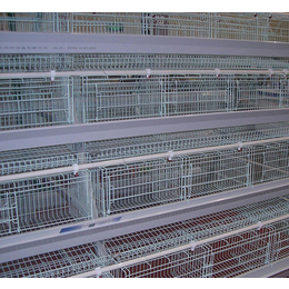 订购肉鸡笼价格-肉鸡笼-禽翔笼具养殖设备