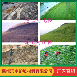 供应厂家*2019新品滨丰环保生态袋生态草毯植被垫