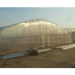 单拱温室大棚价格|安徽农友(在线咨询)|合肥温室大棚