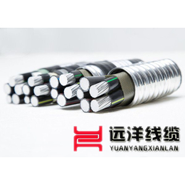 重庆铝合金电缆(图)_****生产铝合金电缆_永川铝合金电缆