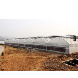 滁州薄膜温室-合肥建野温室工程-薄膜温室大棚
