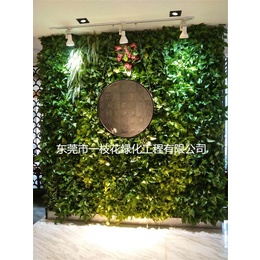 咖啡馆植物墙|广西植物墙|一枝花绿化(查看)