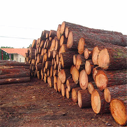 工地木方|恒豪木材加工厂|工地木方销售