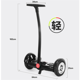 10寸平衡车出售-10寸平衡车-东莞市腾程五金科技(查看)