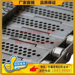 圆孔网铁板输送带、赣州铁板输送带、冲压式铁板输送带(查看)