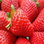 厦门法兰地草莓苗|法兰地草莓苗基地|双湖园艺(推荐商家)缩略图1