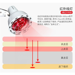 厦门红外线理疗_厦门展东_红外线理疗设备