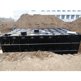 供应天津生产地埋式箱泵一体化设备的厂家