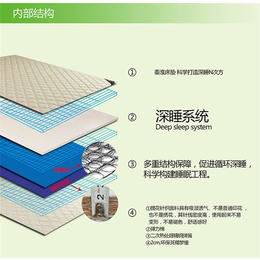 南京爱尔悦(图)-酒店床垫批发-床垫