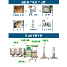 中科圣创、多功能豆腐干机器自动豆腐设备厂家