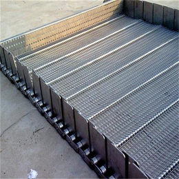 不锈钢输送网带-宁津鸿晨网链-生产不锈钢输送网带