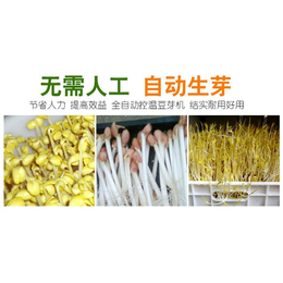 中科圣创(多图)|大型豆腐生产线|三门峡豆腐生产设备