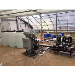 水肥一体机实力生产厂家SD-ZNX-A节水灌溉设备供应四川