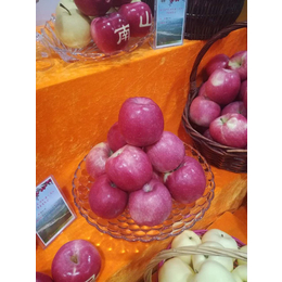 陕西洛川苹果专卖|景盛果业(在线咨询)|陕西洛川苹果