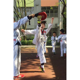 金华跆拳道、【博朗跆拳道培训】、暑期跆拳道培训