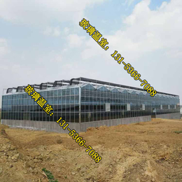 金盟温室(图)、青州市智能玻璃大棚基地、玻璃大棚