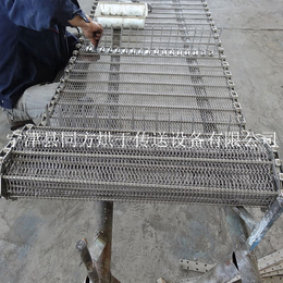 山东烘干机厂家*不锈钢网带  网链输送带定制