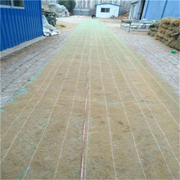 新疆环保草毯厂家* 稻草植被毯 植物纤维毯 价格合理