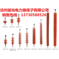 FXBW-10/100棒形悬式复合绝缘子