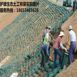 生态袋护坡厂家、鑫宇土工材料(在线咨询)、生态袋护坡