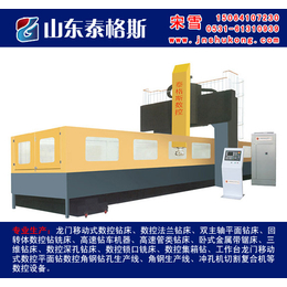 设计法兰钻孔工装_法兰钻_山东泰格斯(查看)