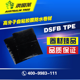 DSFB TPE高分子自粘胶膜防水卷材-信誉保障