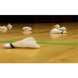 体育馆篮球运动木地板的核心