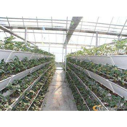 无土栽培槽 蔬菜种植槽 草莓种植槽缩略图