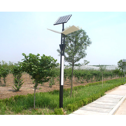 太阳能路灯,奇宇路灯厂家*,6米太阳能路灯灯杆