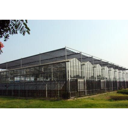 广安温室,青州鑫华生态农业科技,薄膜连栋温室