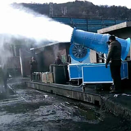 永州当地钢厂使用移动式雾炮机厂家*