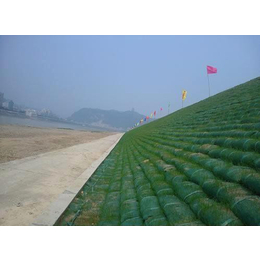 定制护坡生态袋,山东宏祥集团,荆州护坡生态袋