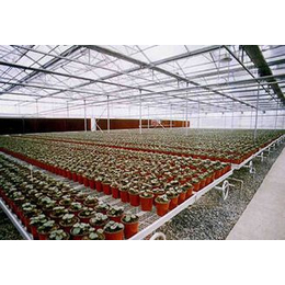 湖北生产制作温室移动苗床 蔬菜育苗床系统 