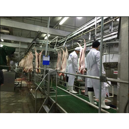 猪肉批发公司|东莞市牧新康|中堂猪肉批发公司
