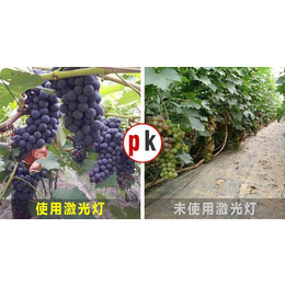 玉树补光灯_【激光植物生长灯】_植物补光灯价格