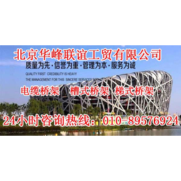 江西梯式桥架定制_北京华峰联谊_梯式桥架