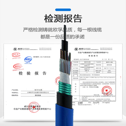 矿用光缆MGTSV-4B1 4芯单模阻燃蓝色光缆厂家*缩略图