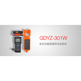 GDYZ-301W 氧化锌避雷器带电巡检仪选型